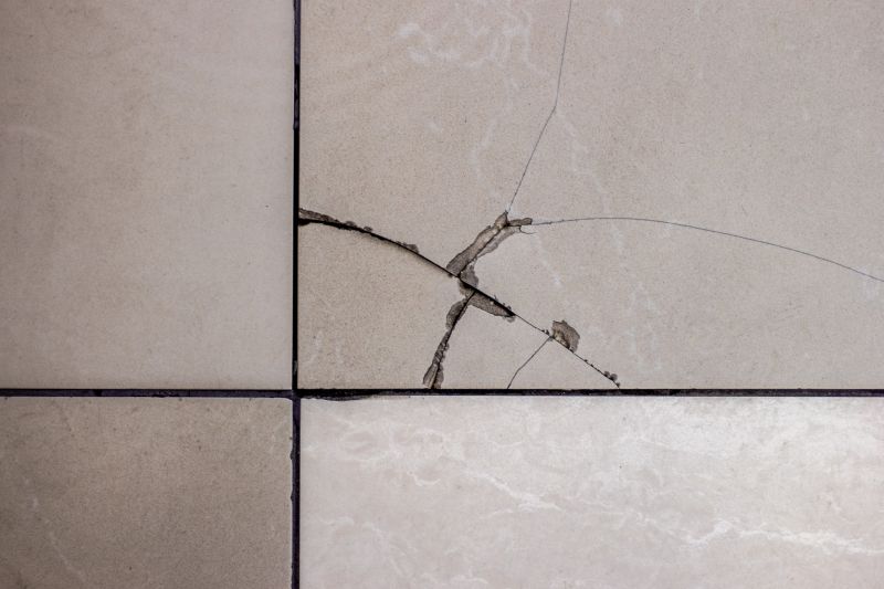 Specialty Tile Repair Services